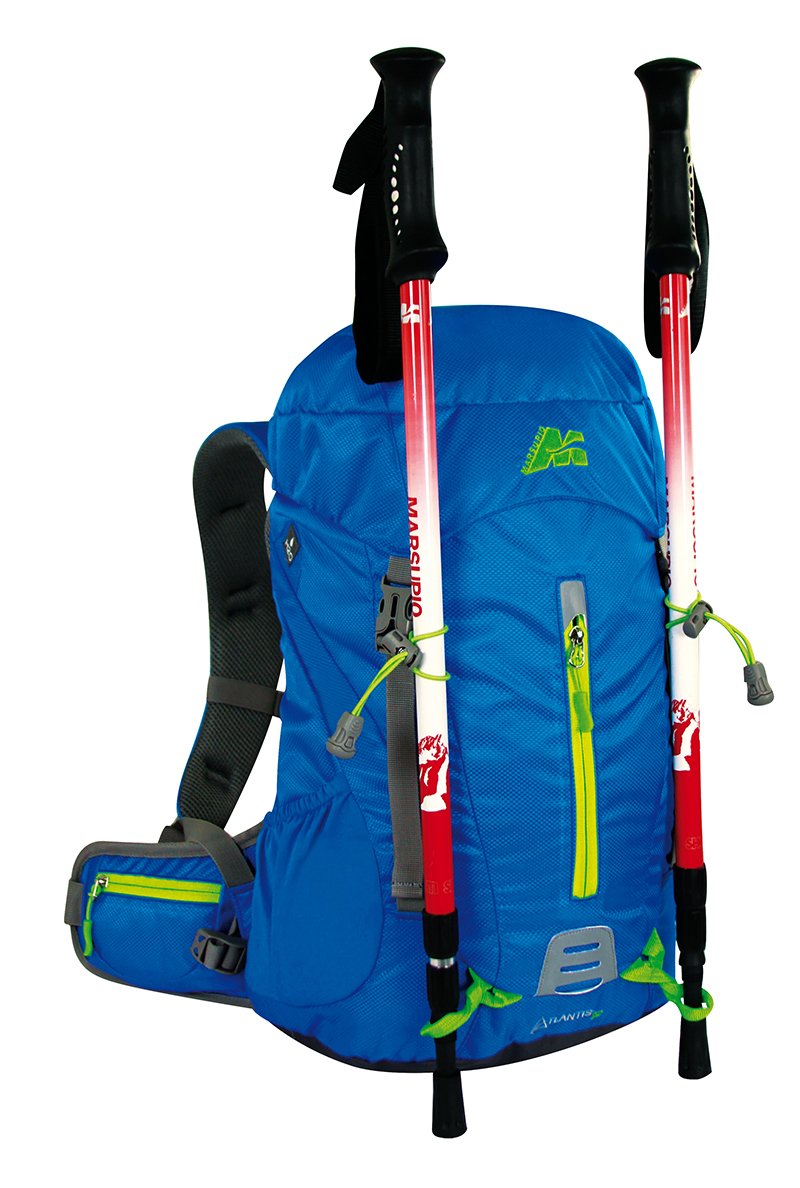 trekking pole holder backpack