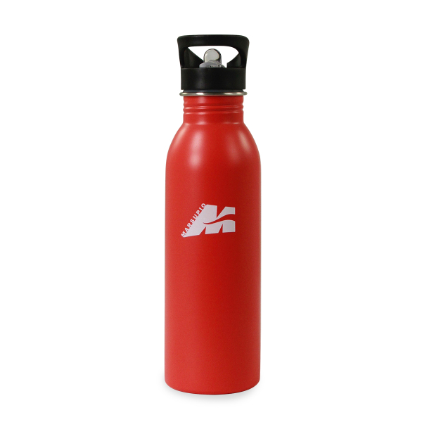 steel water bottle H2O colour red