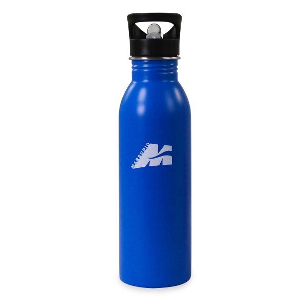 steel water bottle H2O colour royal