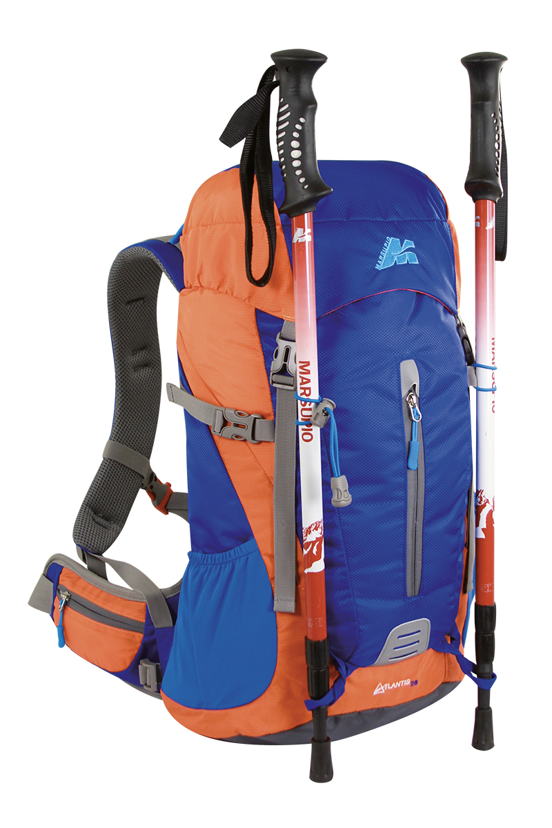 trekking pole holder backpack