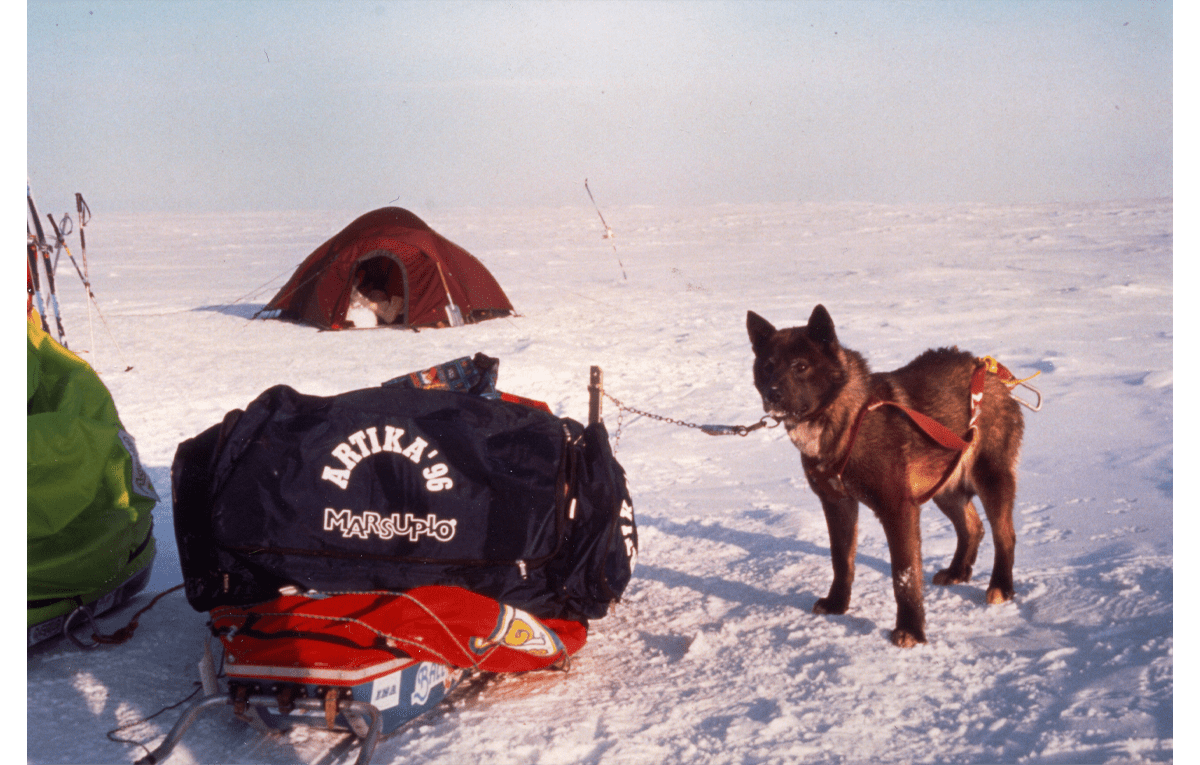 1993, una nuova era: dal bastino traspirante alla linea Nature.